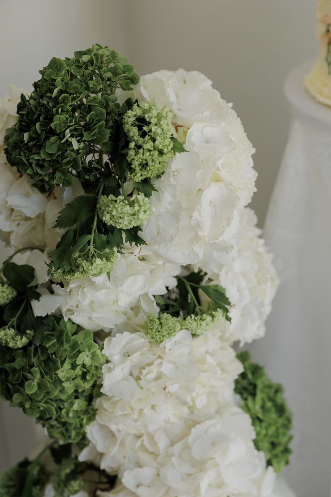 HYDRANGEA WATERFALL